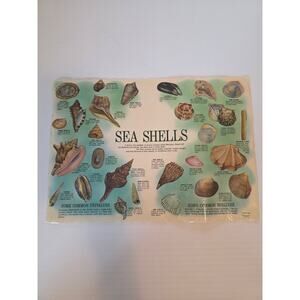 VTG Coastal Restaurant Seashell ID Laminated Beachcomber Nautical Placemat Decor